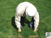 Restoring the landscaping by replacing removed sod on the ground for a Ironton home.