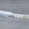 Slab floor cracks showing in a Greenup home