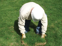 Restoring the landscaping by replacing removed lawn sections for a Portsmouth home.