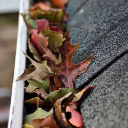 Clogged gutters filled with fall leaves  in Catlettsburg